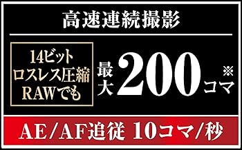 Amazon | 【整備済み品】 Nikon デジタル一眼レフカメラ D500 ボディ